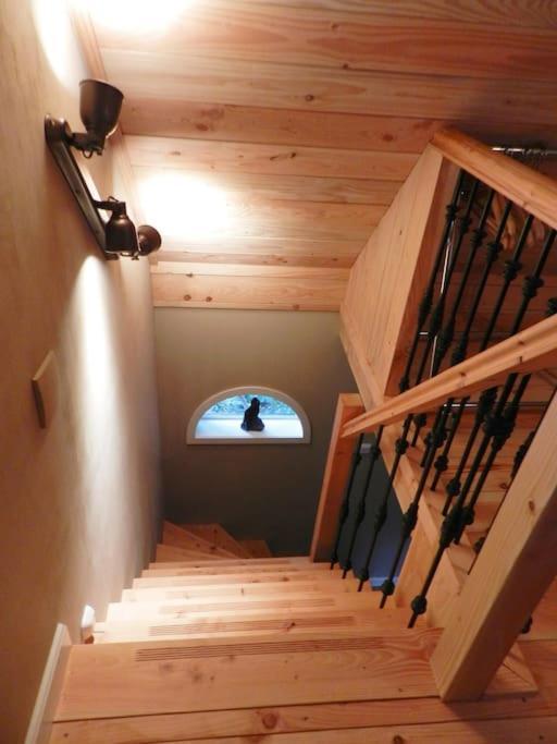 Tiny House Tholen Villa ภายนอก รูปภาพ